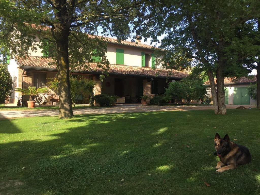 La Casa Di Pilar Panzió Cotignola Kültér fotó