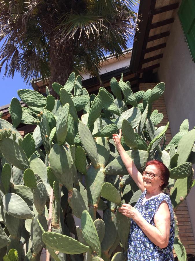 La Casa Di Pilar Panzió Cotignola Kültér fotó
